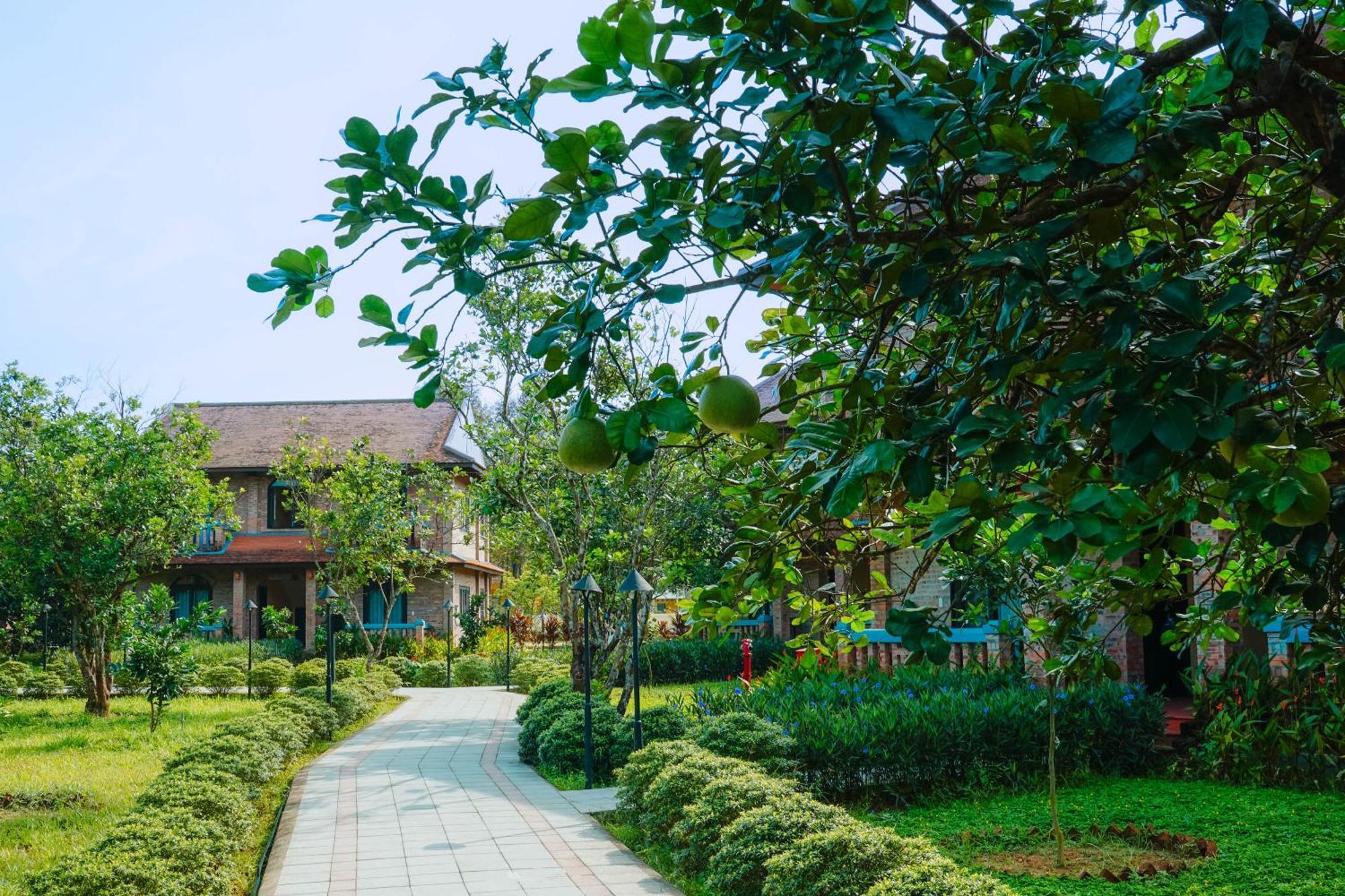 Hue Ecolodge Екстериор снимка